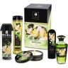 Подарочный набор SHUNGA САД ЭДО 9012 SG